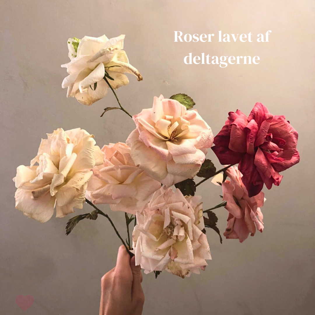 Rose begynder kursus d. 13 juni