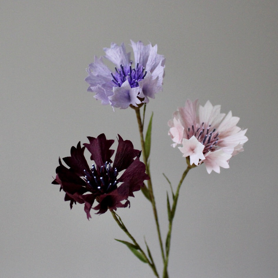 Paper Cornflower Tutorial