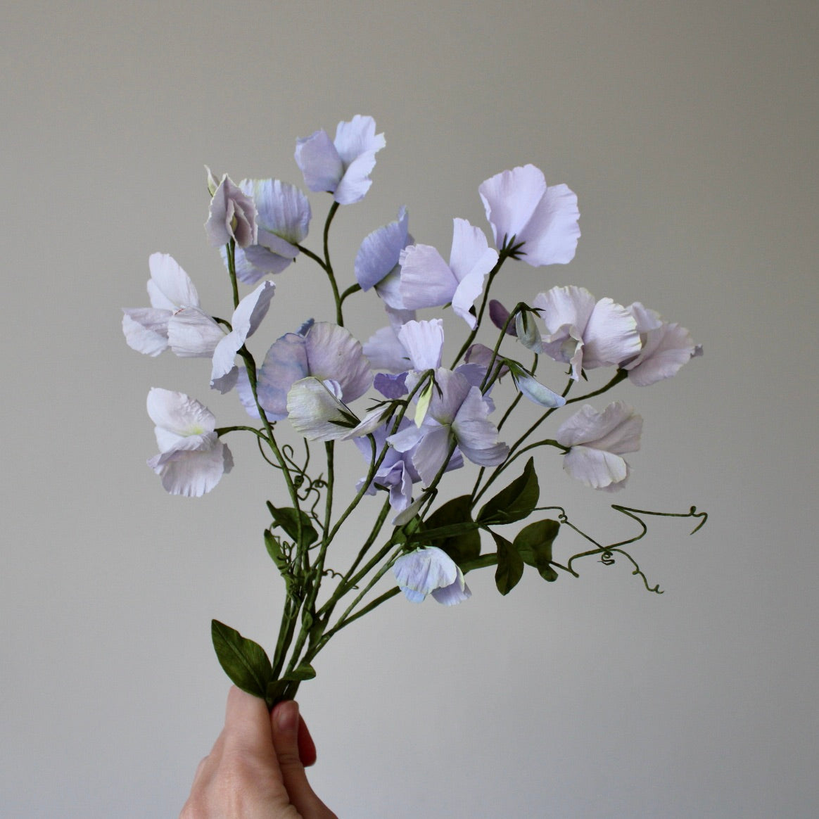 Ærteblomst let øvet kursus d. 18 april