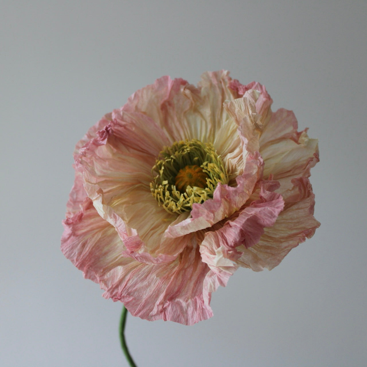 Poppy Kit