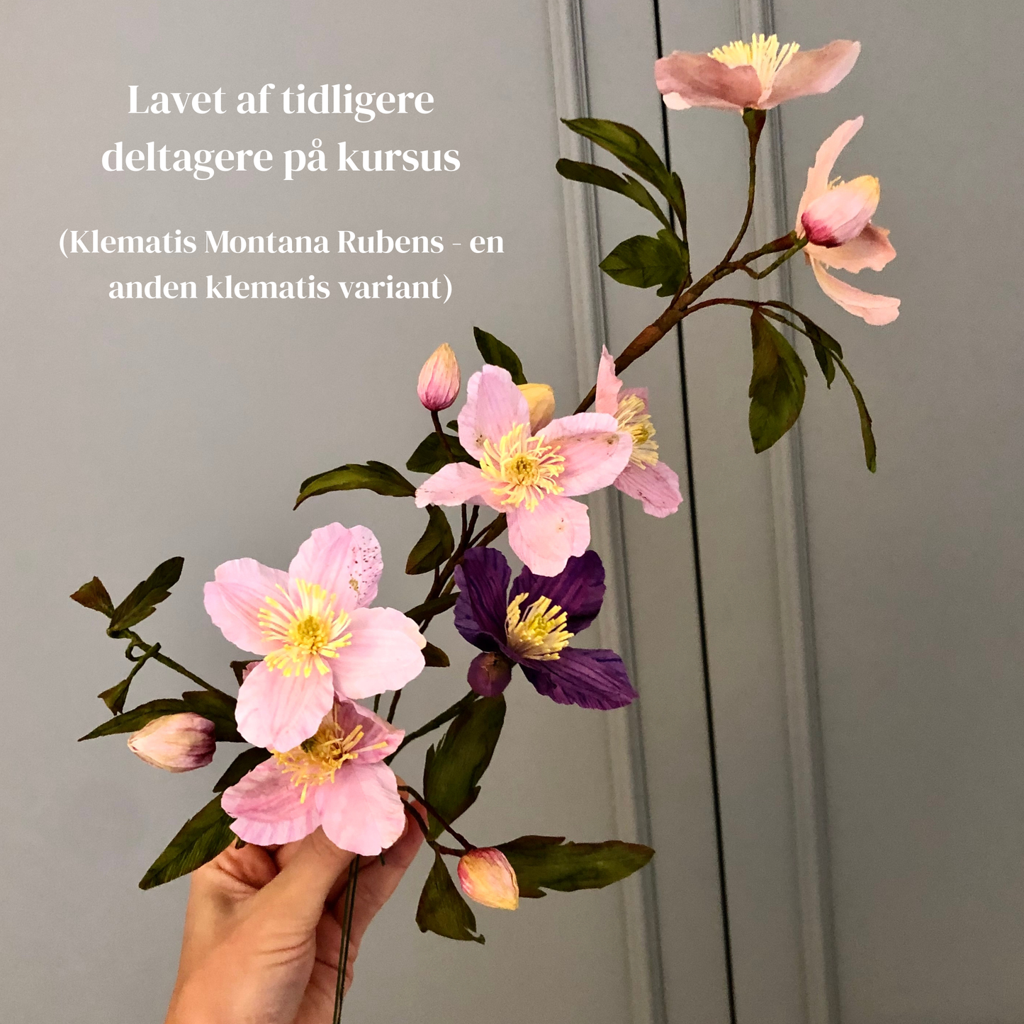 Klematis let øvet kursus d. 2 maj