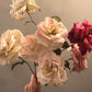 Rose begynder kursus d. 12 marts