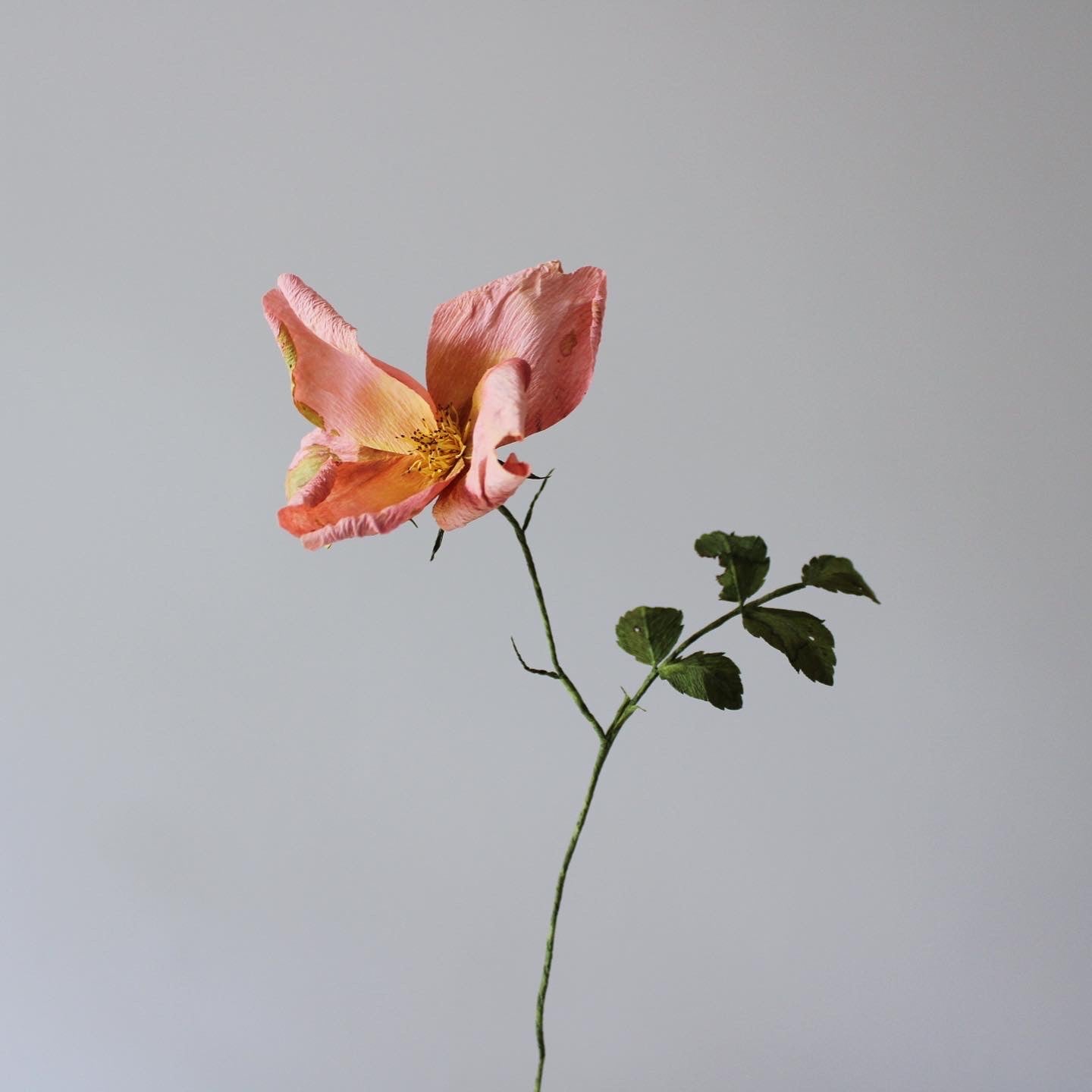 Wild Roses tutorial 