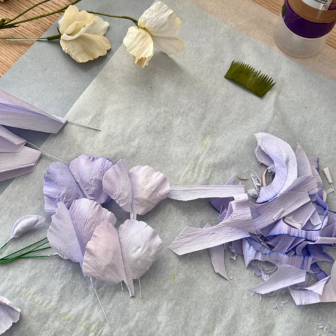 Ærteblomst let øvet kursus d. 18 april