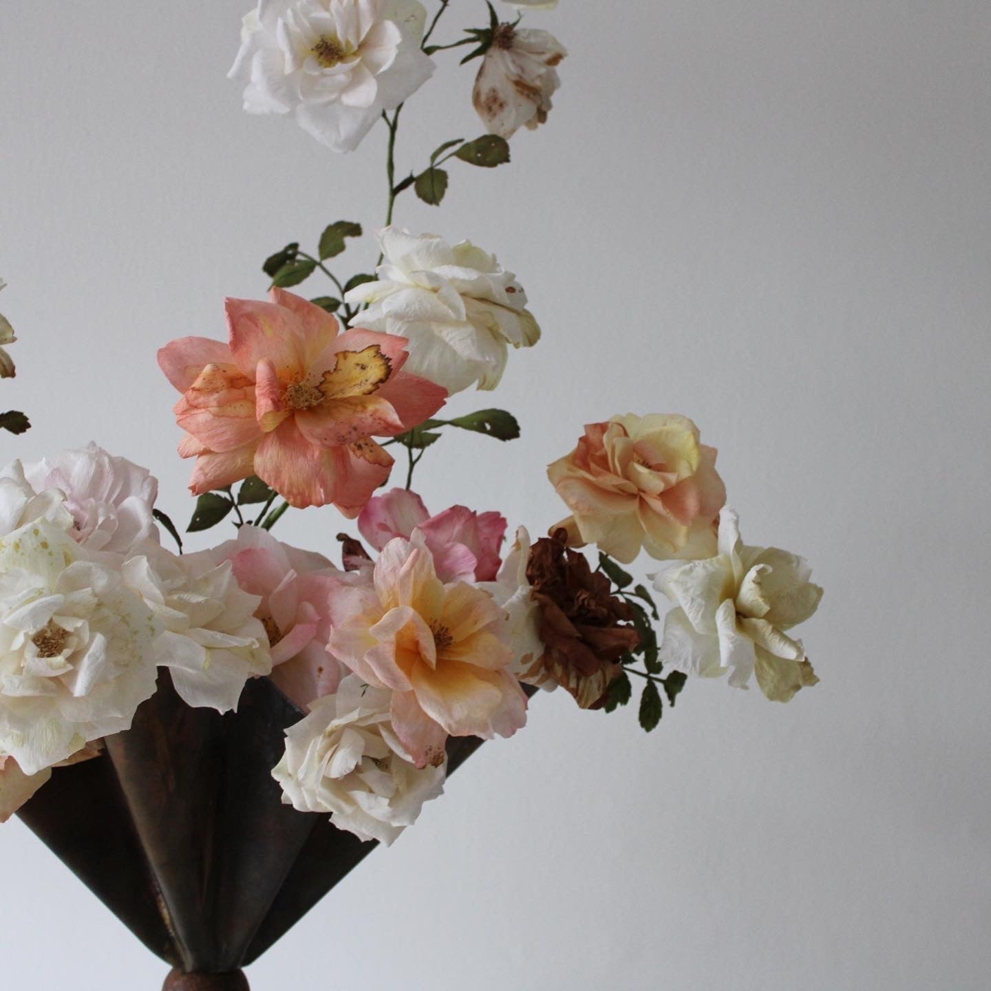 Rose begynder kursus d. 12 marts