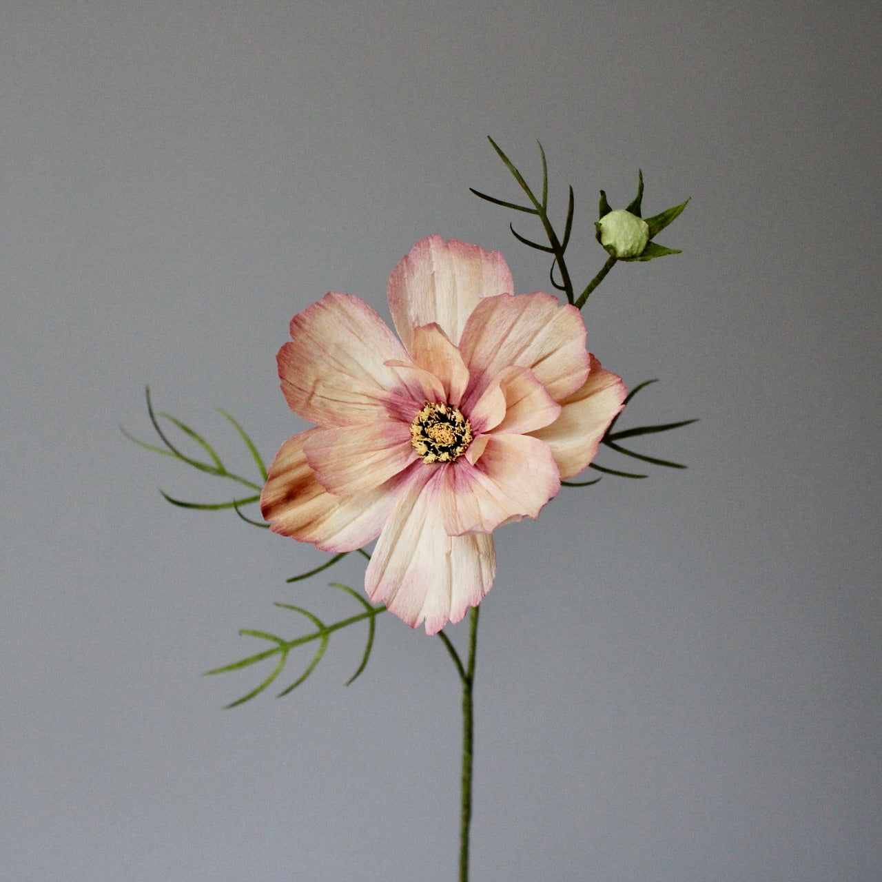 Paper Cosmos Tutorial
