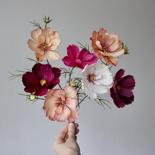 Paper Cosmos Tutorial