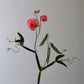 Ærteblomst opskrift - let øvet