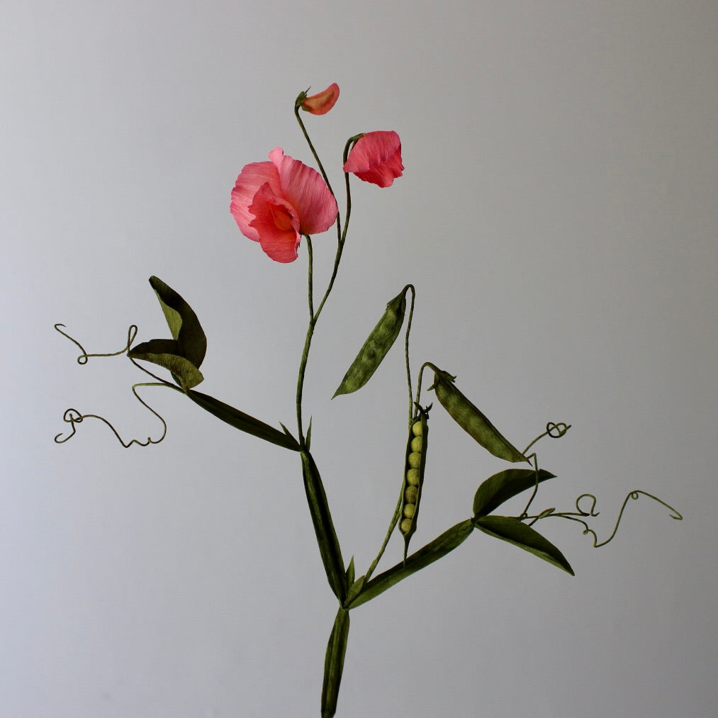 Ærteblomst opskrift - let øvet