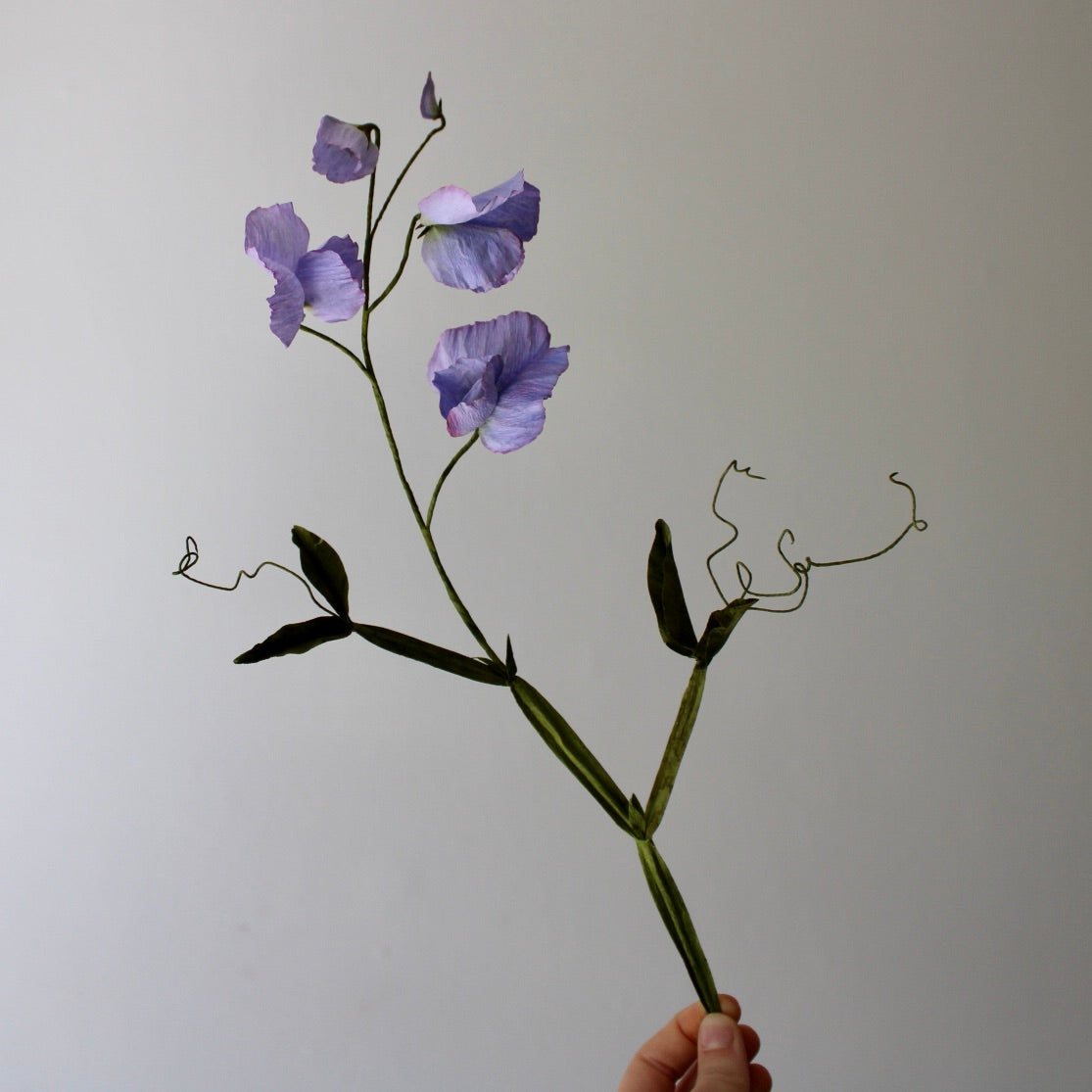 Ærteblomst opskrift - let øvet