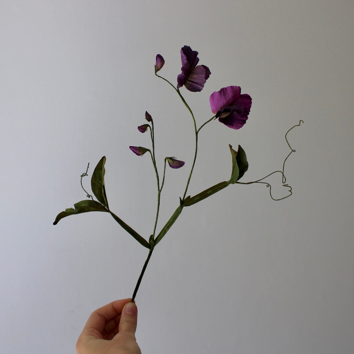 Ærteblomst opskrift - let øvet