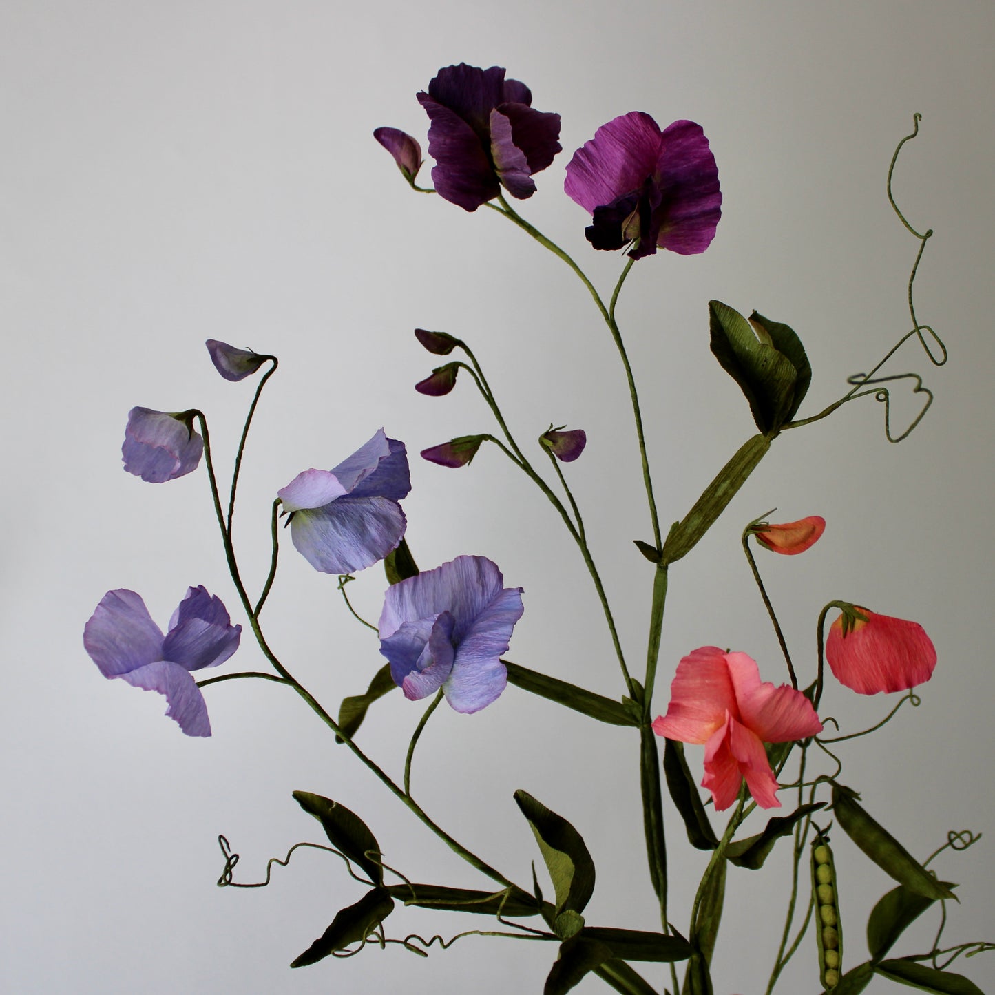 Ærteblomst opskrift - let øvet