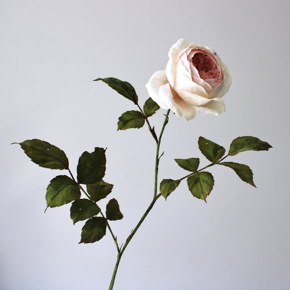 English Rose Tutorial
