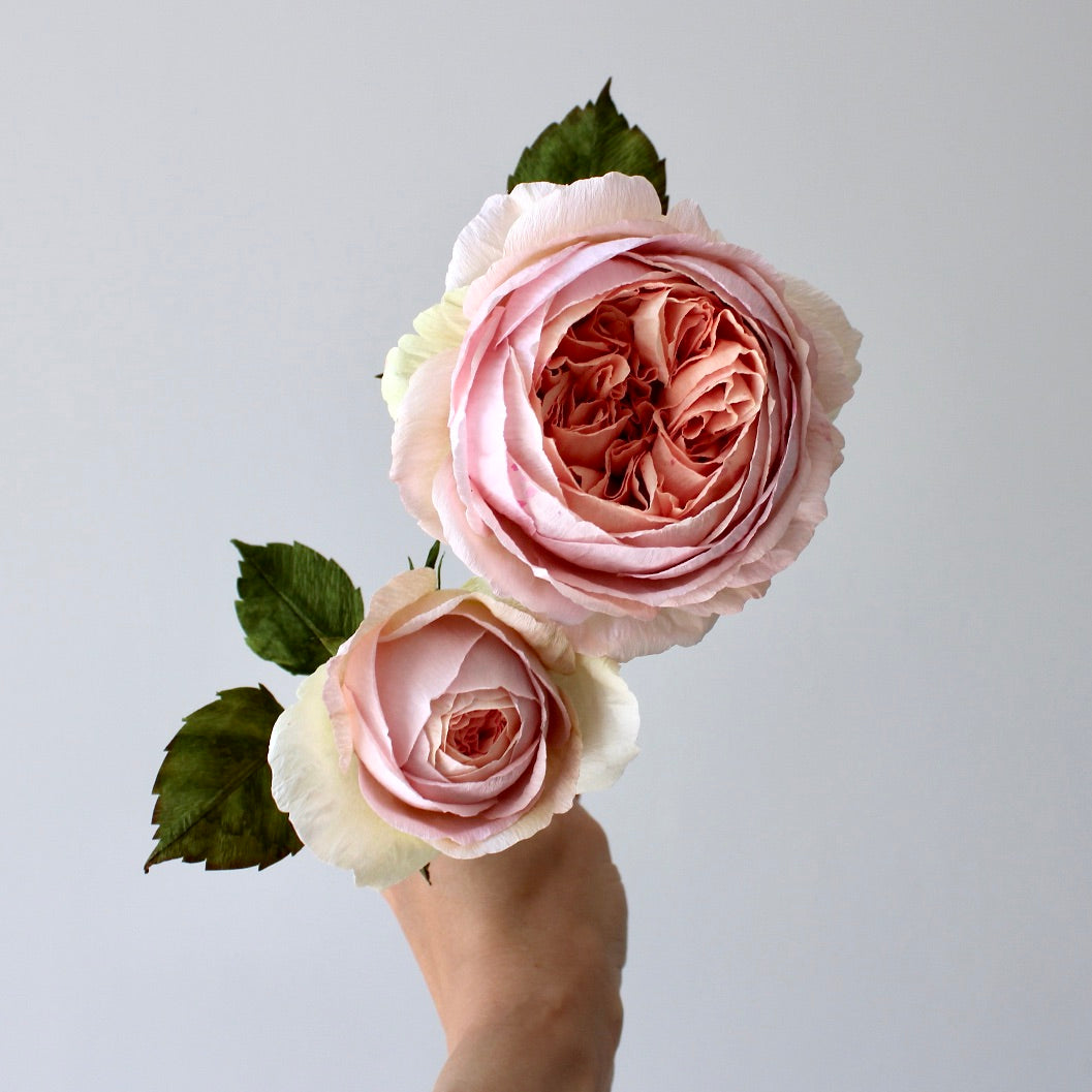 English Rose Tutorial