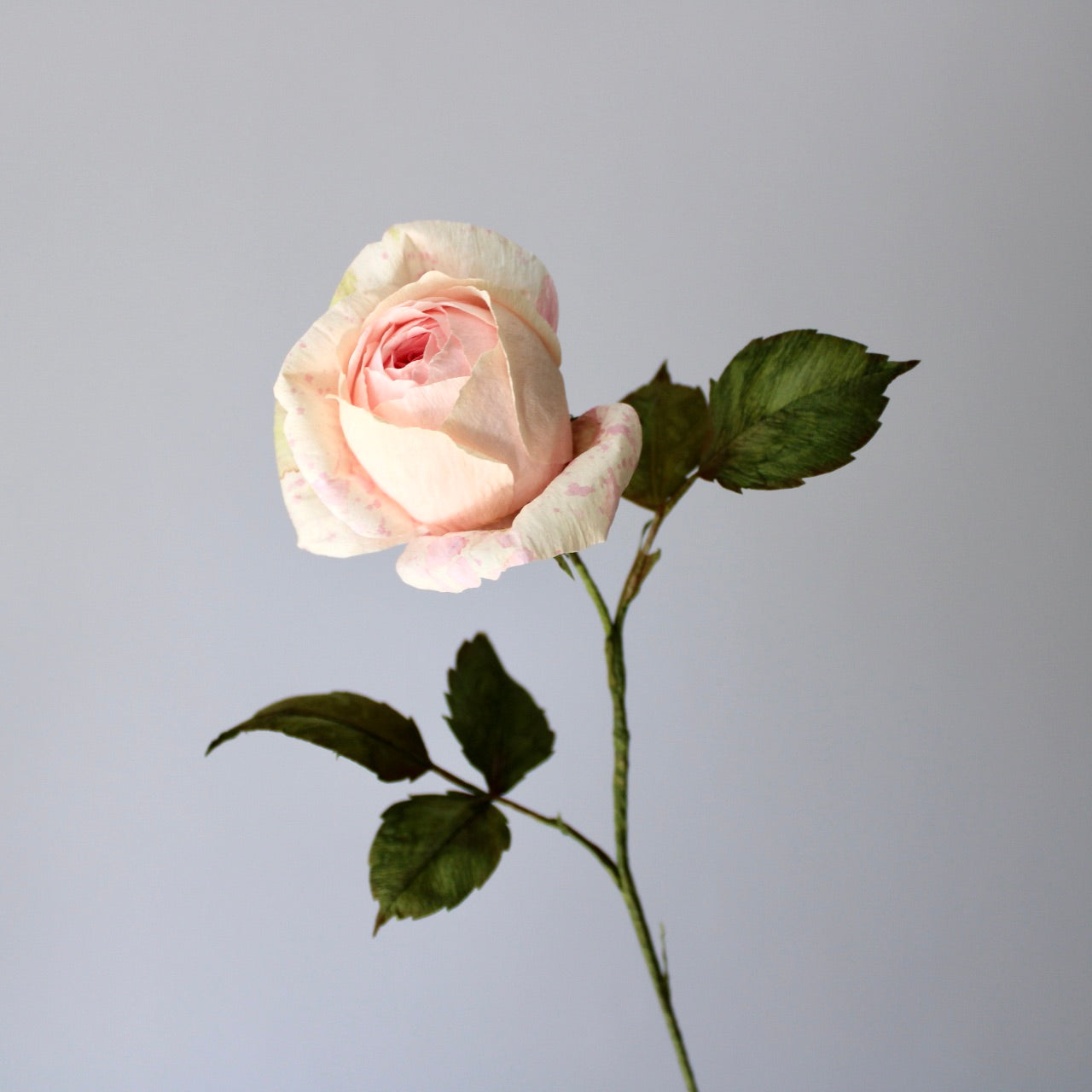 English Rose Tutorial