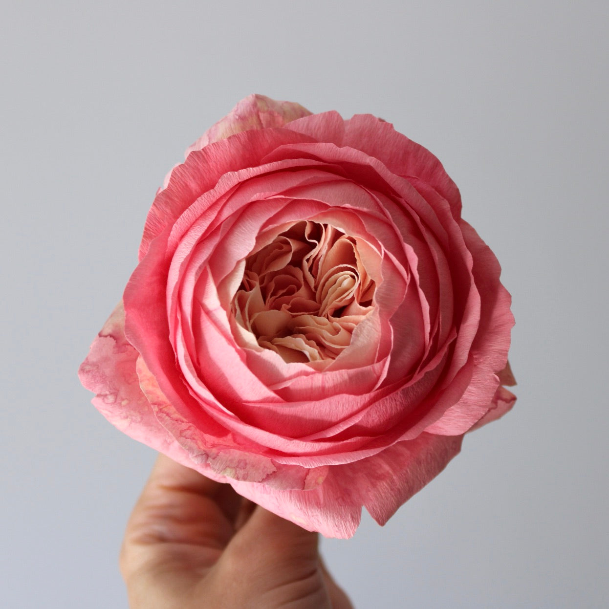 English Rose Tutorial