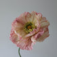 Poppy Kit