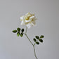 Wild Roses tutorial 