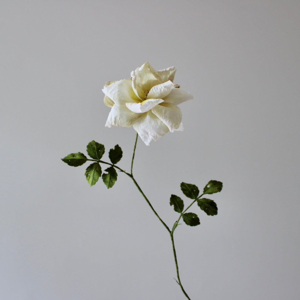 Wild Roses tutorial 
