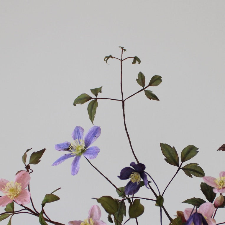 Klematis let øvet kursus d. 2 maj