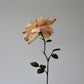 Rose begynder kursus d. 12 marts