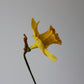 Paper Daffodil Tutorial