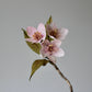 Paper Kanzan Cherry Blossom Tutorial