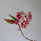 Paper Kanzan Cherry Blossom Tutorial