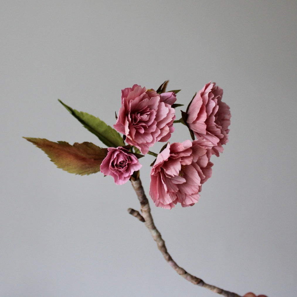 Paper Kanzan Cherry Blossom Tutorial