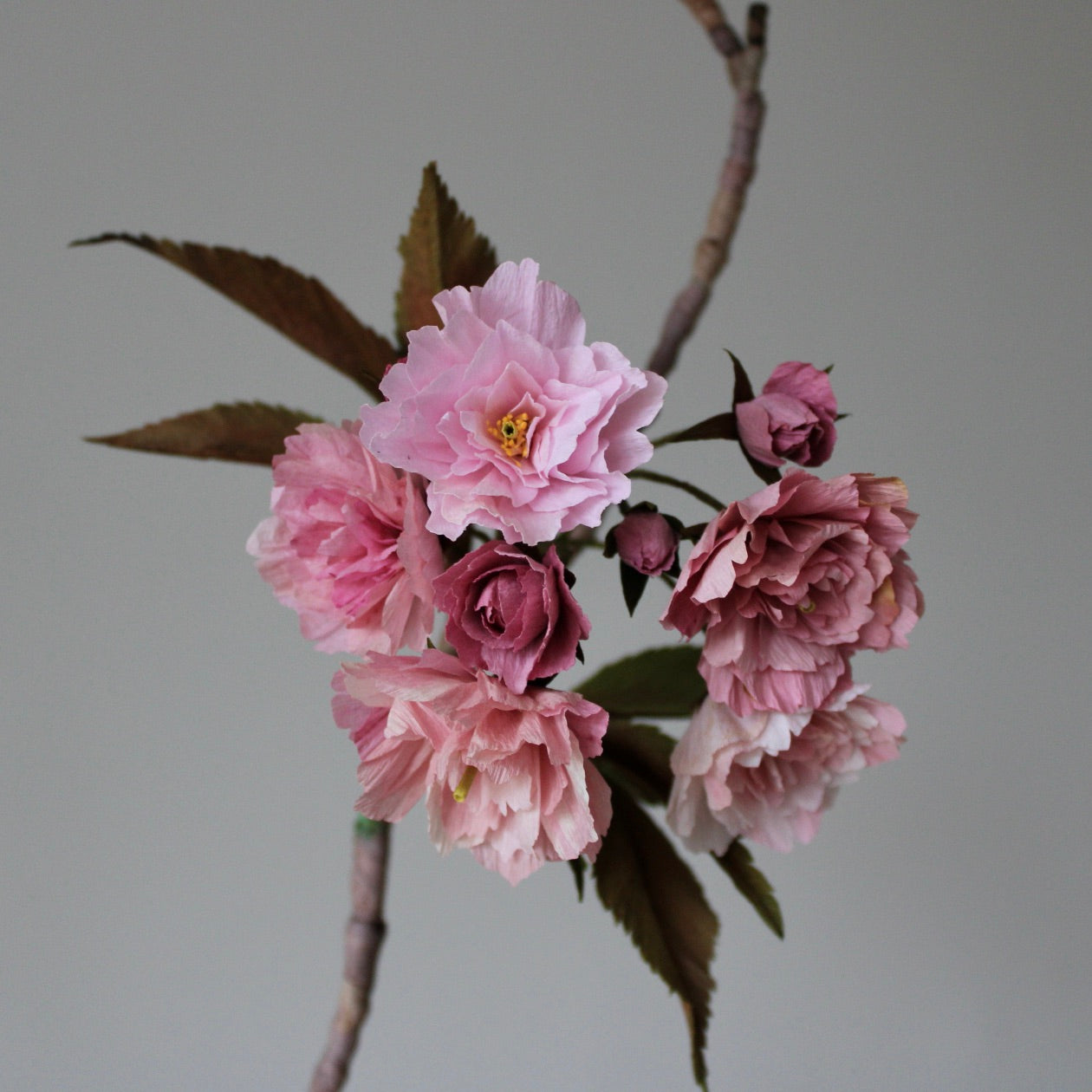 Paper Kanzan Cherry Blossom Tutorial