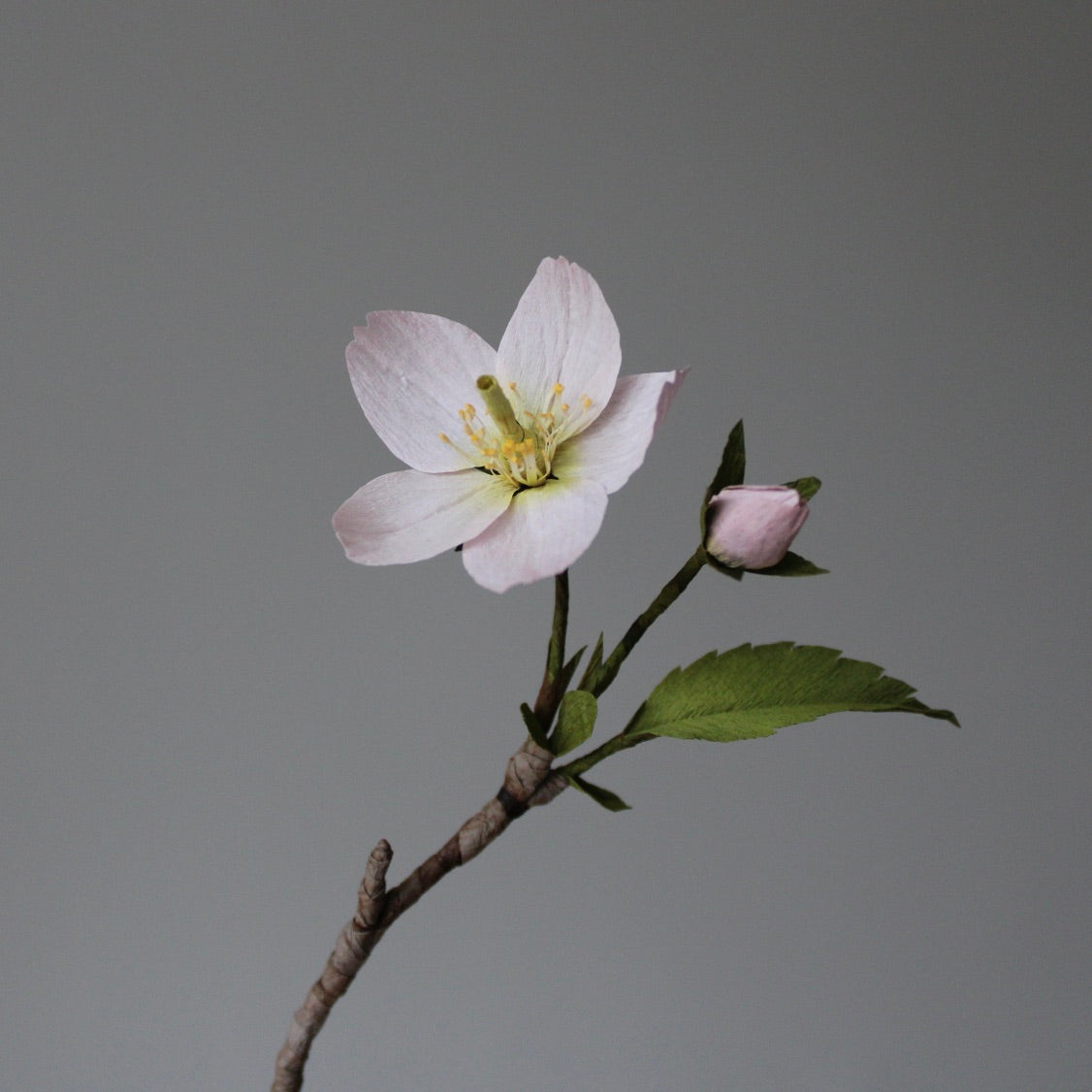 Paper Kanzan Cherry Blossom Tutorial