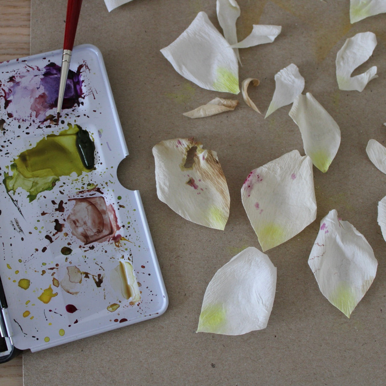 Farvning begynder kursus d. 26 april