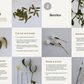 Paper Mistletoe Tutorial 