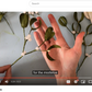 Paper Mistletoe Tutorial 