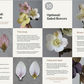 Helleborus opskrift - øvet