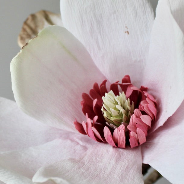 Crepe paper magnolia