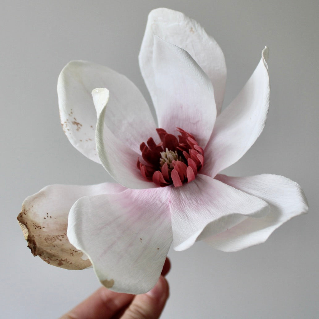 Crepepapir magnolie